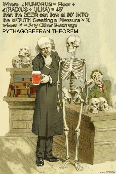 Pythagobeeran Theorem 28x42 Giclee on Canvas