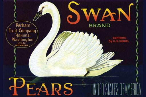 Swan Brand Pears 28x42 Giclee on Canvas