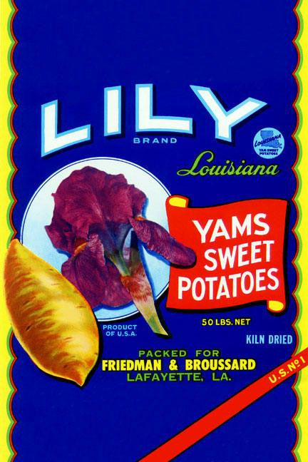 Lily Brand Yams Sweet Potatoes 28x42 Giclee on Canvas