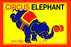 Circus Elephant 28x42 Giclee on Canvas