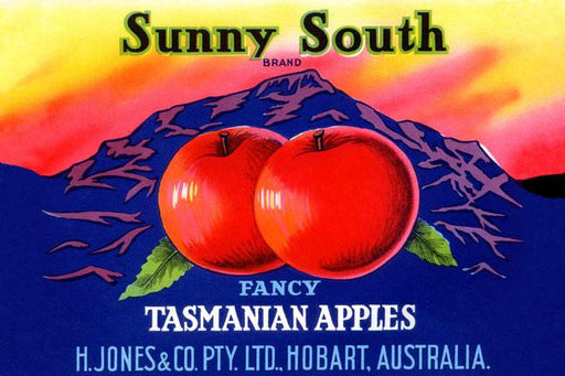 Sunny South Tasmanian Apples 28x42 Giclee on Canvas