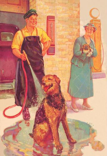 Dog Wash 12x18 Giclee on canvas