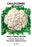 Cauliflower: Early Snowball 12x18 Giclee on canvas