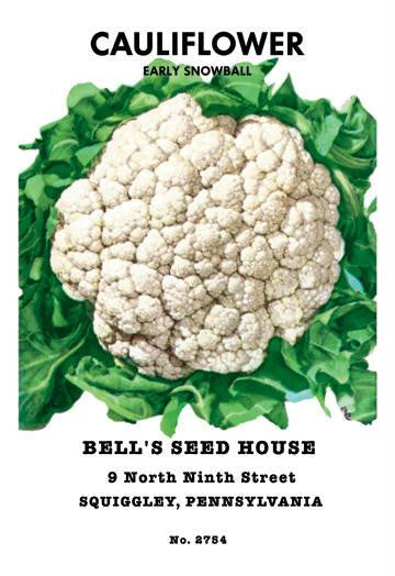 Cauliflower: Early Snowball 12x18 Giclee on canvas