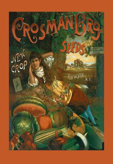 Crosman Brothers Seeds: New Crop 12x18 Giclee on canvas