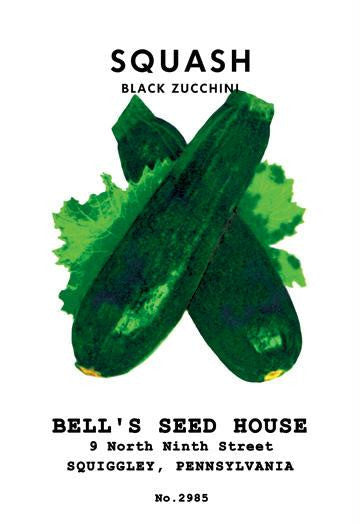 Squash: Black Zucchini 12x18 Giclee on canvas