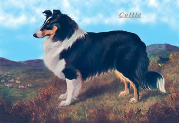 Reverend Hamilton&#39;s Collie 12x18 Giclee on canvas