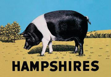 Hampshires 12x18 Giclee on canvas