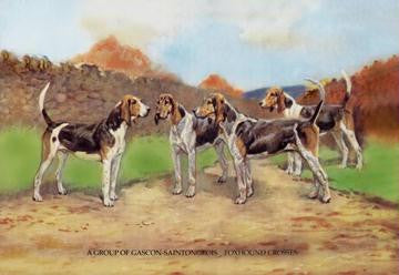 A Group of Gascon-Saintongeois Foxhound Crosses 12x18 Giclee on canvas