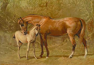 Thoroughbred Mare and Foal 12x18 Giclee on canvas