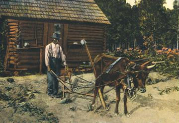 Ox-Plow 12x18 Giclee on canvas