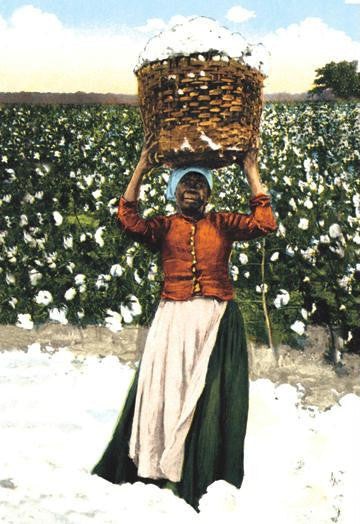 Woman with Basket of Cotton 12x18 Giclee on canvas