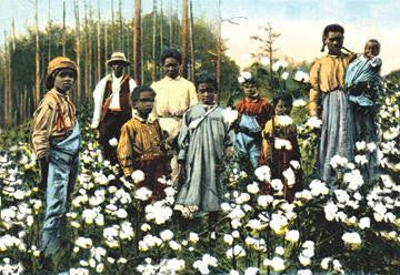 Portrait of Cotton Field Workers 12x18 Giclee on canvas