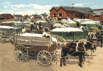 Cotton Wagons 12x18 Giclee on canvas