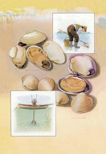 Clams 12x18 Giclee on canvas