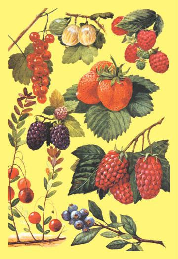 Berries 12x18 Giclee on canvas