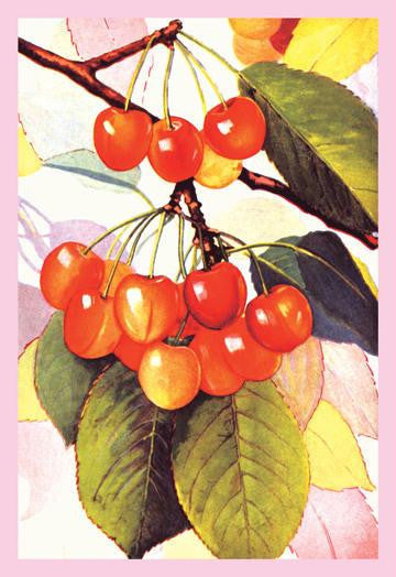 Cherries 12x18 Giclee on canvas