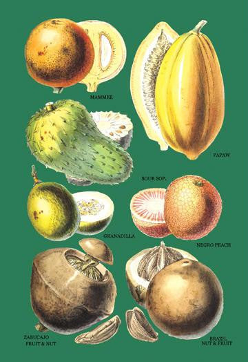 Fruits and Nuts #2 12x18 Giclee on canvas