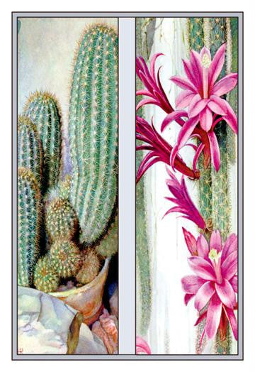 Cactus and Flower 12x18 Giclee on canvas