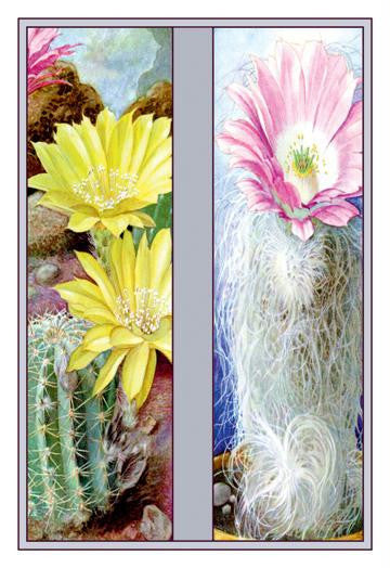 Flower  Cactus  and Flower 12x18 Giclee on canvas