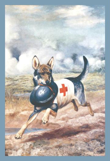 Red Cross Dog 12x18 Giclee on canvas