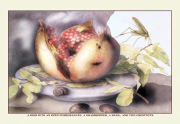 A Dish with a Pomegranate  a Grasshopper  a Snail  and Two Chestnuts 12x18 Giclee on canvas