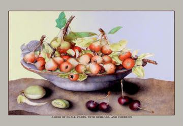 A Dish of Small Pears With Medlars and Cherries 12x18 Giclee on canvas