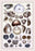 Shells: Monomyaria #3 12x18 Giclee on canvas