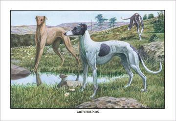 Greyhounds 12x18 Giclee on canvas