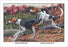 English Foxhound and American Foxhound 12x18 Giclee on canvas