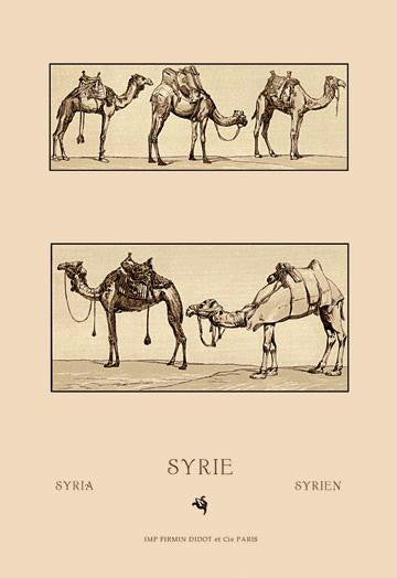 A Variety of Howdahs from Syria 12x18 Giclee on canvas