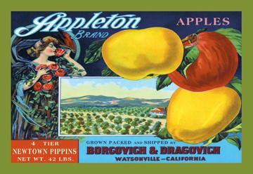 Appleton Brand Apples 12x18 Giclee on canvas