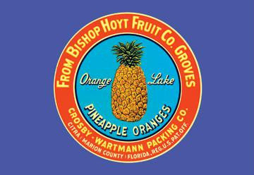 Orange Lake Brand Pineapples 12x18 Giclee on canvas