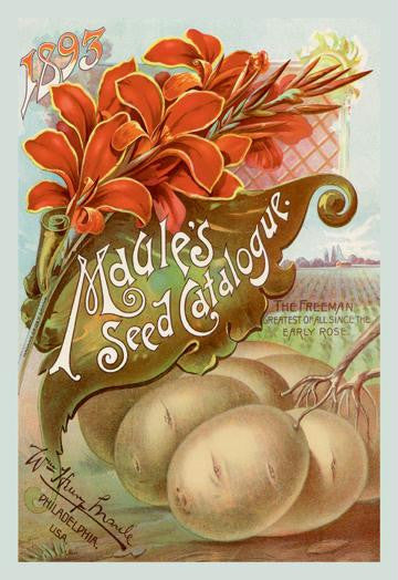 Maule&#39;s Seed Catalogue  1893 12x18 Giclee on canvas