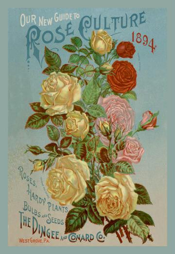 Our New Guide to Rose Culture  1894 12x18 Giclee on canvas