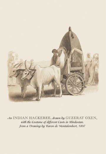 An Indian Hackeree 12x18 Giclee on canvas