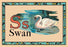 Swan 12x18 Giclee on canvas