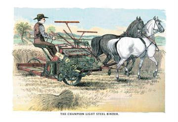 The Champion Light Steel Binder 12x18 Giclee on canvas