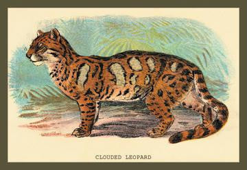 The Clouded Leopard 12x18 Giclee on canvas