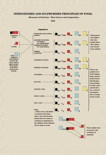 Nitrogenized and Sulphurized Principles of Food 12x18 Giclee on canvas