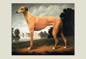 Greyhound on a Parkland Landscape 12x18 Giclee on canvas