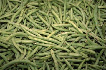 Green Beans 12x18 Giclee on canvas