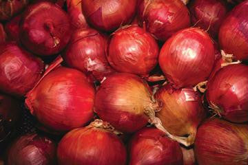 Red Onions 12x18 Giclee on canvas