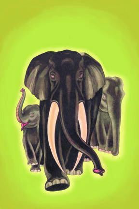 Indian Elephants 12x18 Giclee on canvas