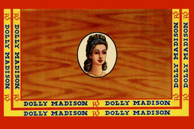 Dolly Madison - Mild Satisfying 12x18 Giclee on canvas