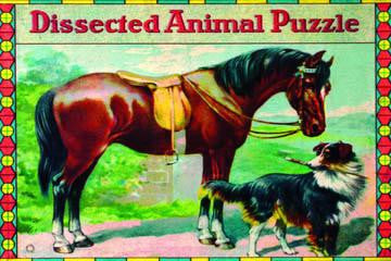 Dissected Animal Puzzle 12x18 Giclee on canvas