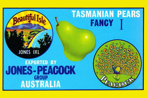 Jones-Peacock Tasmanian Pears 12x18 Giclee on canvas