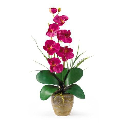 Beauty  Single Stem Phalaenopsis Silk Orchid Arrangement