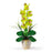 Green Single Stem Phalaenopsis Silk Orchid Arrangement