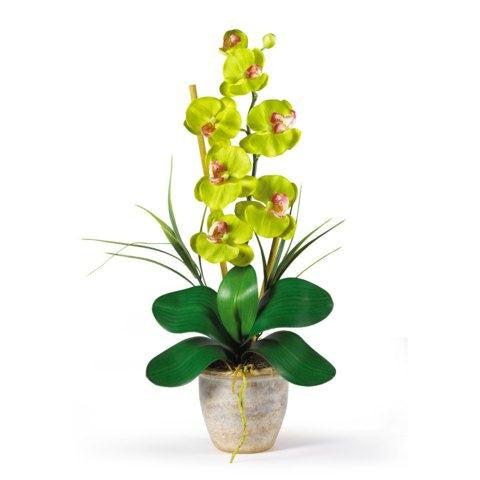 Green Single Stem Phalaenopsis Silk Orchid Arrangement